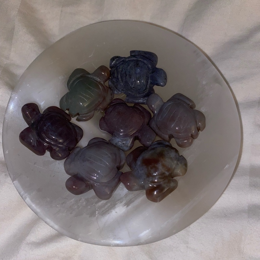 Turtle 🐢 crystals Ocean Jasper